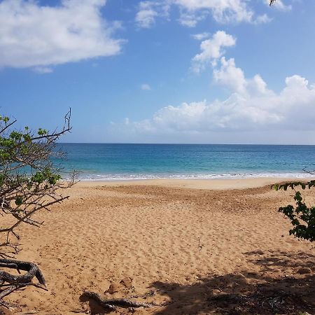 L'Aurielle, Tout Le Confort A 500M De La Plage سانت-روز المظهر الخارجي الصورة